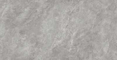 E48PT308L-Z-卡斯灰