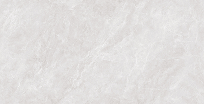 E48PT307L-Z-静雅杏