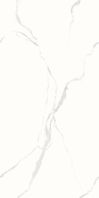 612BTE101L-提洛斯