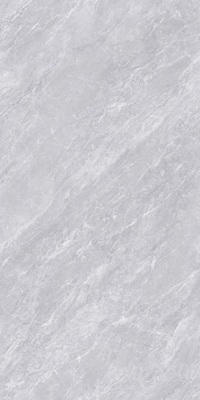 E48PT303L-Z-银云灰