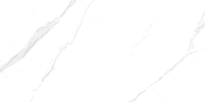 ZT4ZE006A-卡拉卡塔