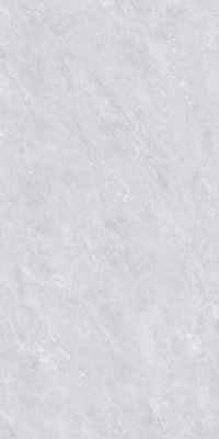 612BTE108L-萨罗尼克灰