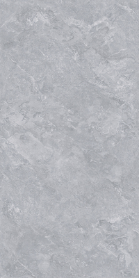 612BTE102L-巴塞罗灰