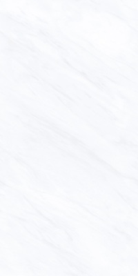 E715XD015LR-Z普斯顿白