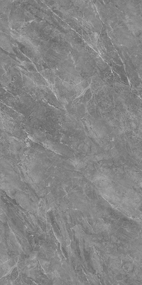 E715D409L-Z-脉络石