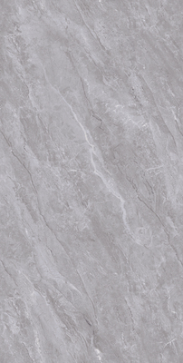 E48PT310L-Z-爱尔兰灰