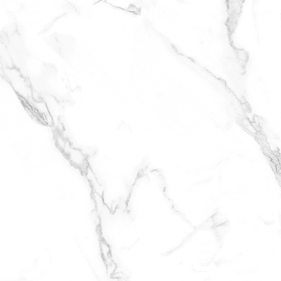ZP83E006TFA-阿菲永白
